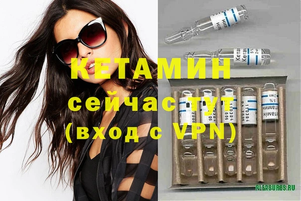 шишки Богородицк
