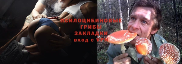 ешки Богородск