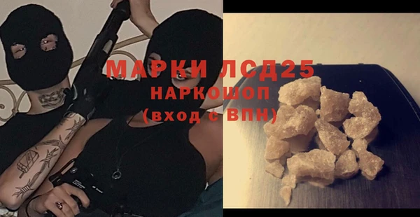 шишки Богородицк