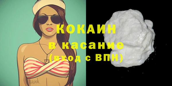 шишки Богородицк