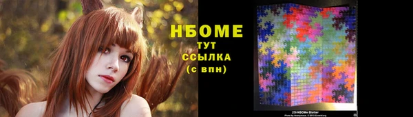 шишки Богородицк