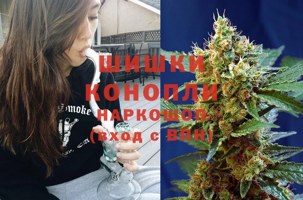 шишки Богородицк