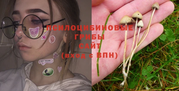 трава Богданович