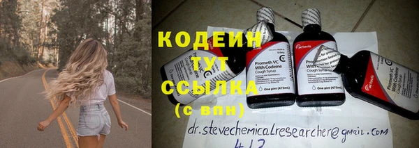 шишки Богородицк