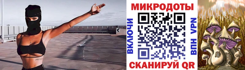 Псилоцибиновые грибы мухоморы  где найти   Плёс 