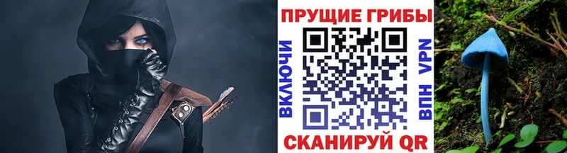 Псилоцибиновые грибы прущие грибы Плёс